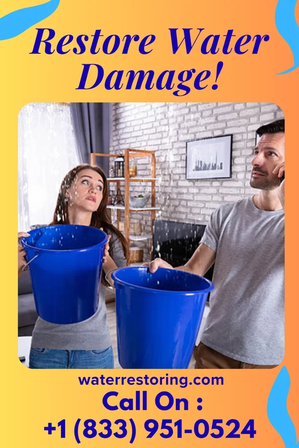 water restoration Zenith Water Mitigation & Associates Woodruff
